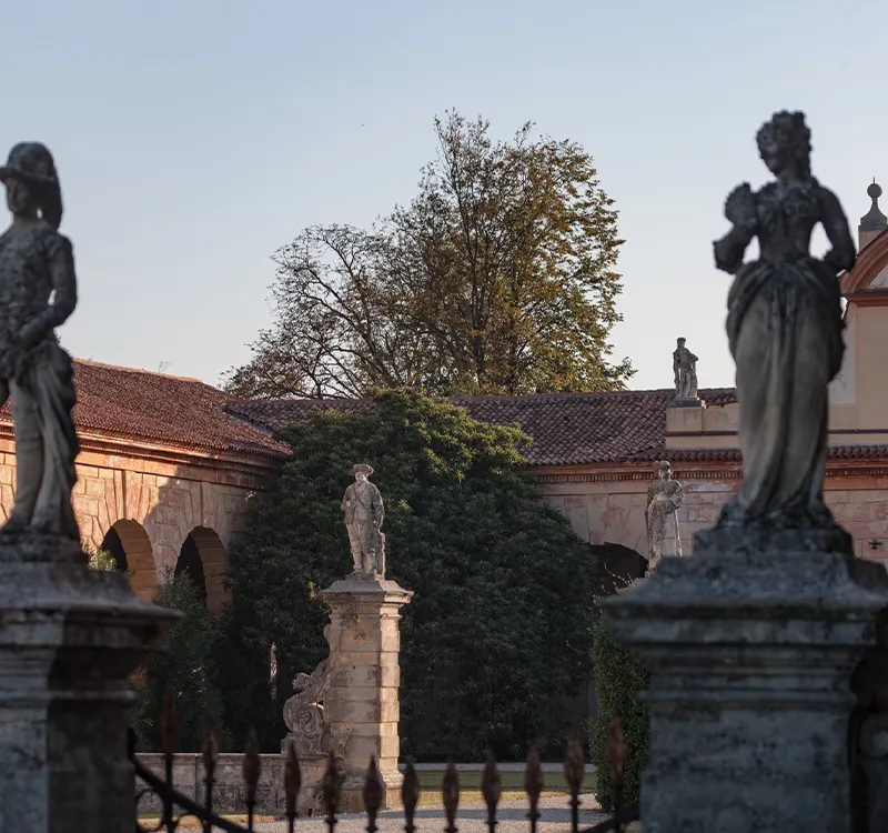 Rosà